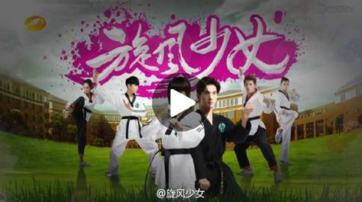 旋风少女的激活码和1.70传奇单机版,系统化推进策略探讨&amp;3D_v5.230