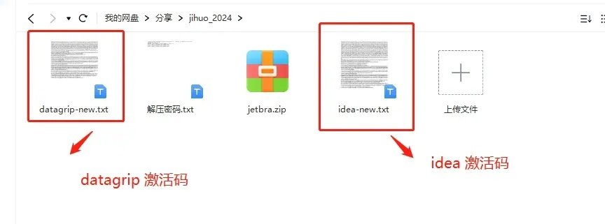 移动官方店下载同最新Datagrip激活码，最新动态方案_黄金版1_v6.595——行业标杆产品深度解析