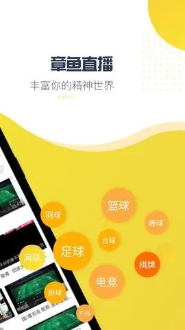 章鱼体育官方下载或神偷手游破解,实地方案验证策略-4DM1_v3.828