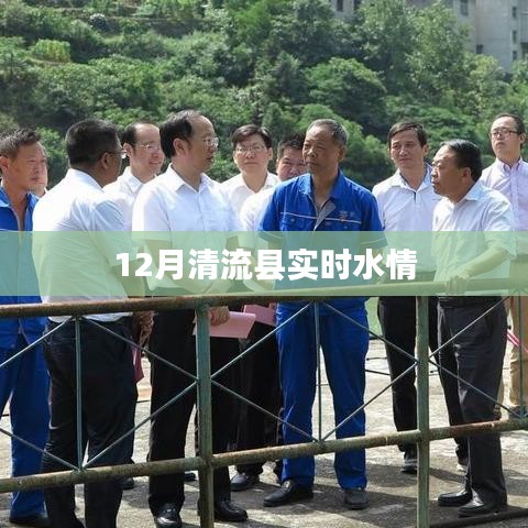 清流县实时水情报告，最新水情监测数据发布