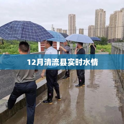清流县实时水情报告,最新水情监测数据发布