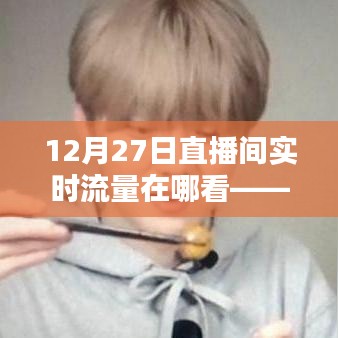 12月27日直播间流量查看指南，途径与技巧全解析