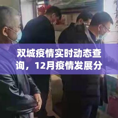 双城疫情实时动态及防控措施,最新分析与查询