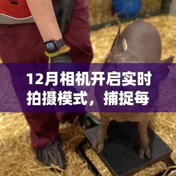 12月相机开启实时拍摄,瞬间魔法不容错过