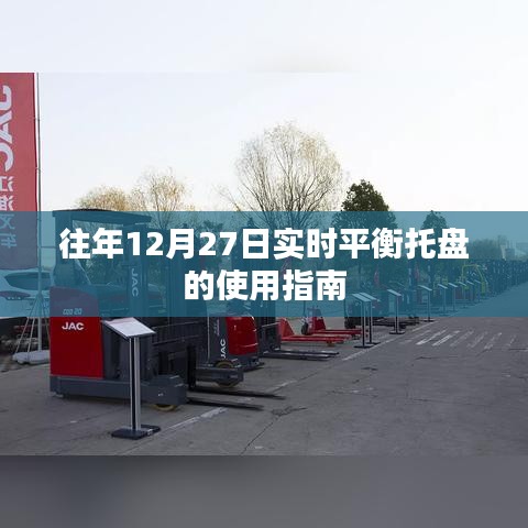 实时平衡托盘使用指南，往年12月27日操作指南