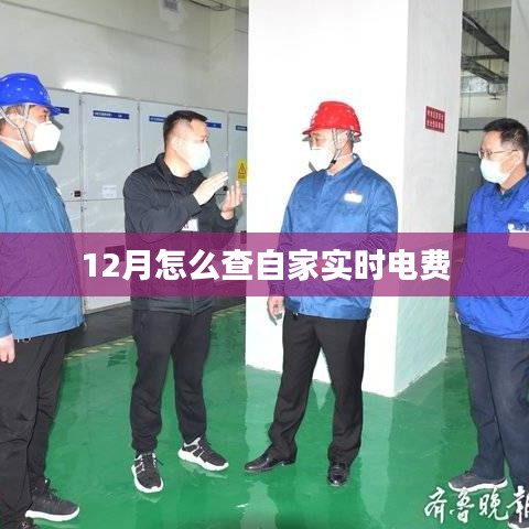 12月实时电费查询方法