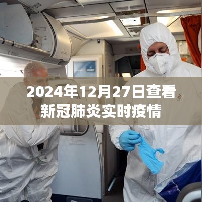 新冠肺炎实时疫情查询,最新数据(日期更新至2024年12月)