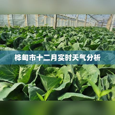 千载难逢 第4页