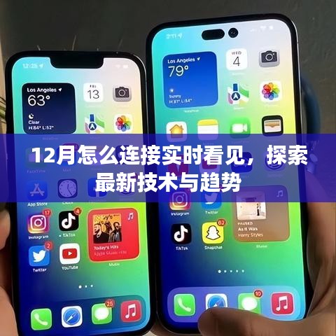 12月实时技术探索，掌握最新趋势与连接