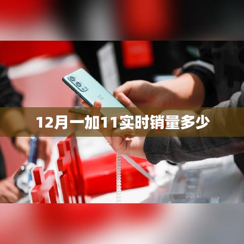 一加手机实时销量分析，最新销售数据揭秘