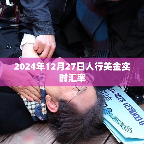 2024年12月27日美金汇率实时查询