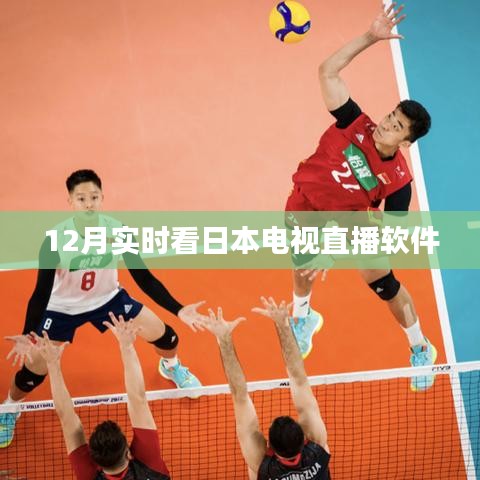 日本电视直播软件实时观看指南