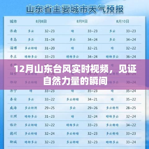 山东台风实时视频记录自然力量的震撼瞬间