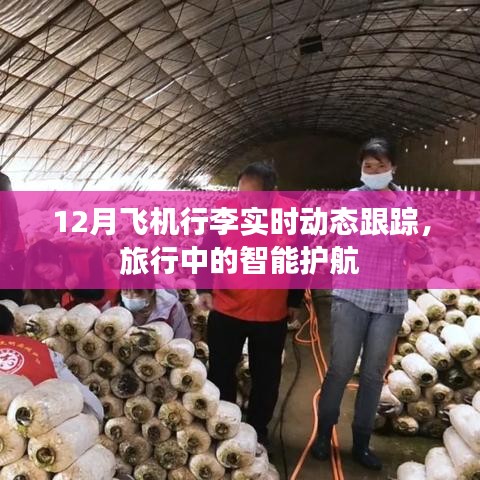 智能护航,飞机行李实时跟踪,无忧旅行体验