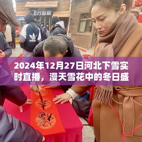 河北雪花飞舞实况直播,冬日雪景尽在眼前