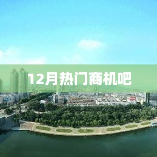 12月最新热门商机大盘点