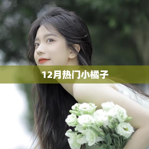 12月小橘子大热，快来了解！