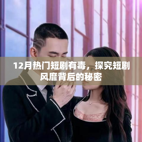 揭秘短剧风靡背后的秘密，十二月大热短剧深度剖析