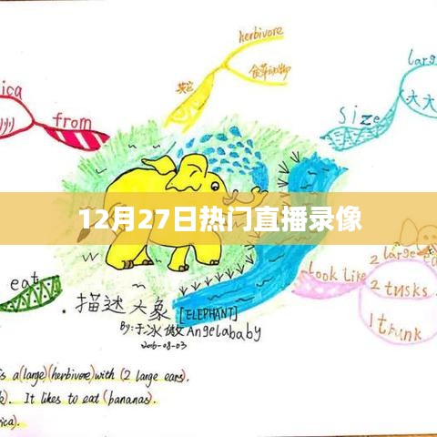 12月27日直播录像回顾，热门直播精彩瞬间