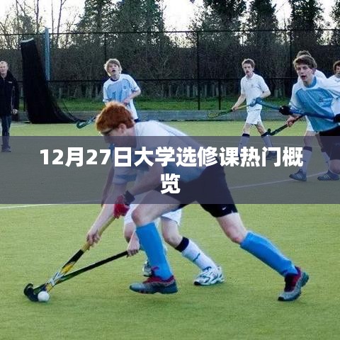 12月27日大学选修课热门概览，课程选择与趋势分析