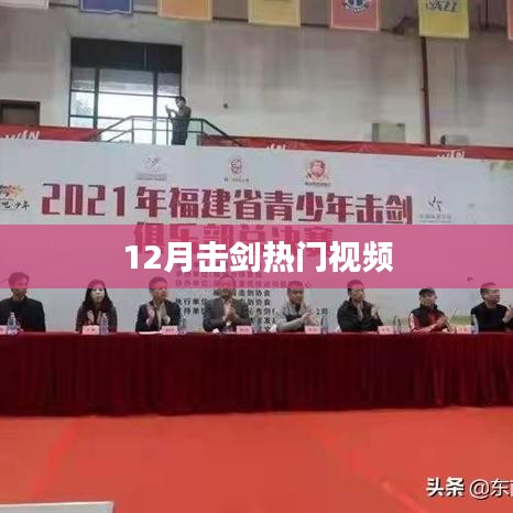 12月击剑精彩瞬间,热门视频回顾