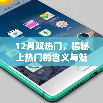 揭秘双月热门背后的含义与魅力