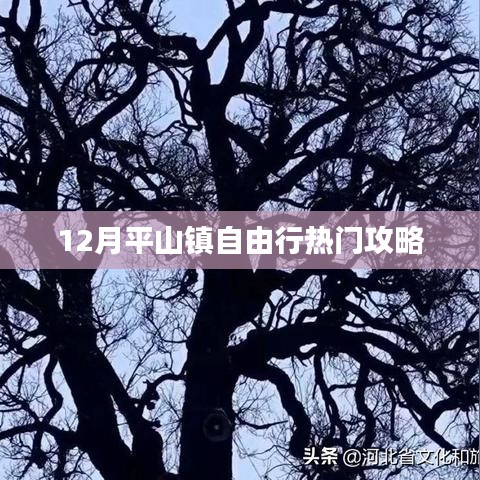 平山镇自由行指南,十二月热门攻略