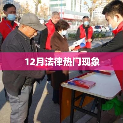 法律热点聚焦,十二月热点事件解析
