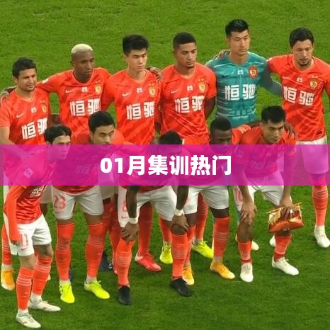 01月集训热门来袭