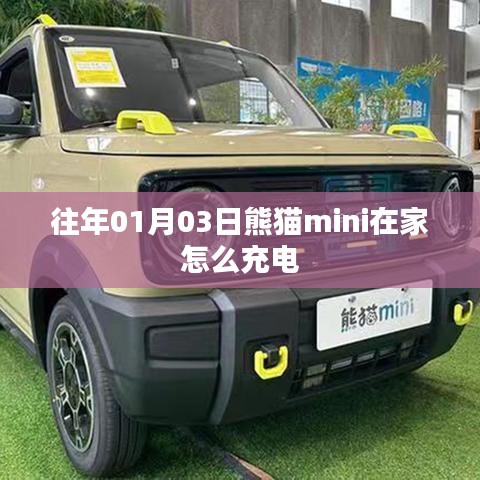 熊猫mini在家充电攻略，方法与步骤