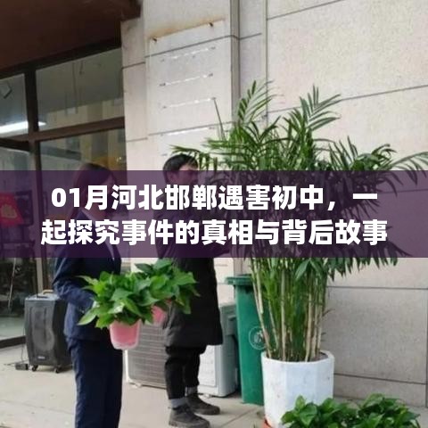河北邯郸遇害初中事件真相与背后故事探究