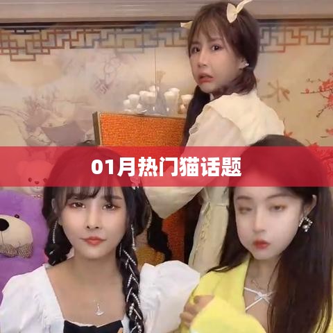 精选猫话题热议榜单,一月热议猫话题盘点