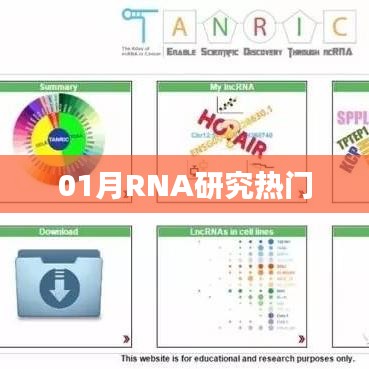 攀高结贵 第6页