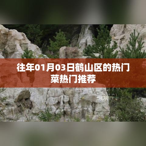 一丝不苟 第5页