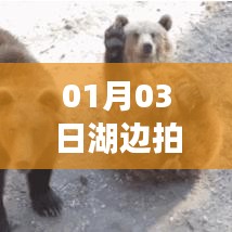 湖畔拍照热潮,一月份精选美图