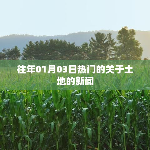 新闻动态 第250页