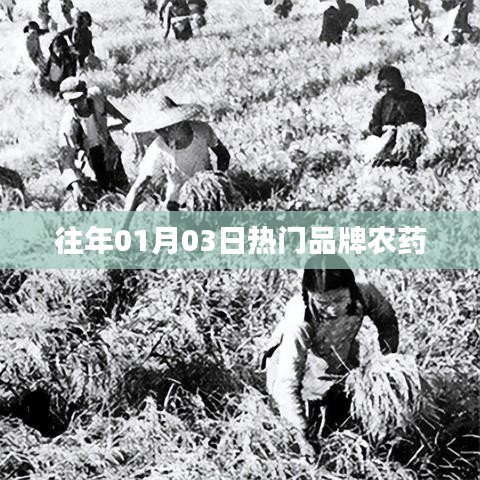 历年一月三日热门品牌农药概览