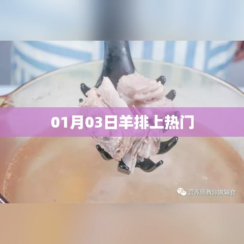 羊排热门风潮，最新趋势解析