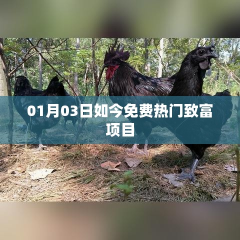 免费热门致富项目,最新动态一网打尽