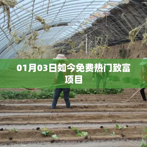 免费热门致富项目,最新动态一网打尽