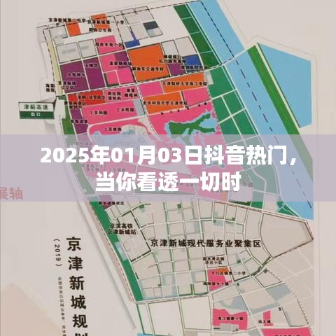 抖音热门揭秘，看透一切的瞬间——2025年1月3日