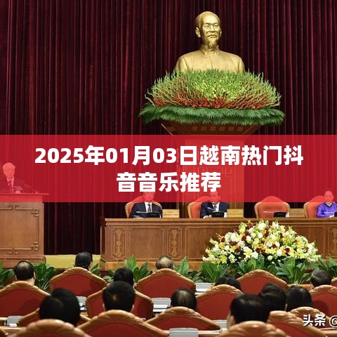 越南抖音热门音乐推荐榜（截至2025年）
