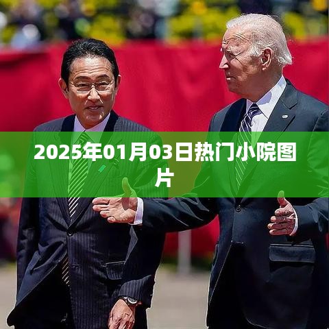 『2025年热门小院美景图片』