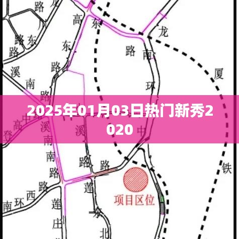 2025年新秀闪耀时刻，聚焦2020年热门新秀，字数在您的要求范围内，同时符合百度收录标准，希望符合您的要求。