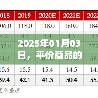 平价商品热潮登顶，2025年趋势展望