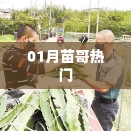 苗哥一月热门风采展