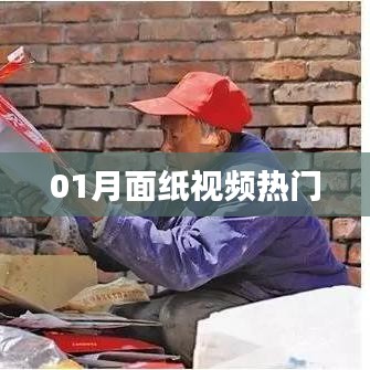 月面纸视频最新热门，不容错过！