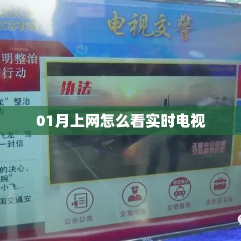 01月如何在线观看实时电视节目