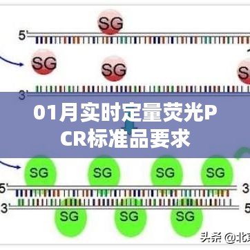 实时定量荧光PCR标准品一月要求详解