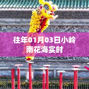 『小岭南花海实时盛放,迎接新年第一缕阳光』